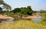 TANZANIA - Serengeti National Park - Grumeti River - 07